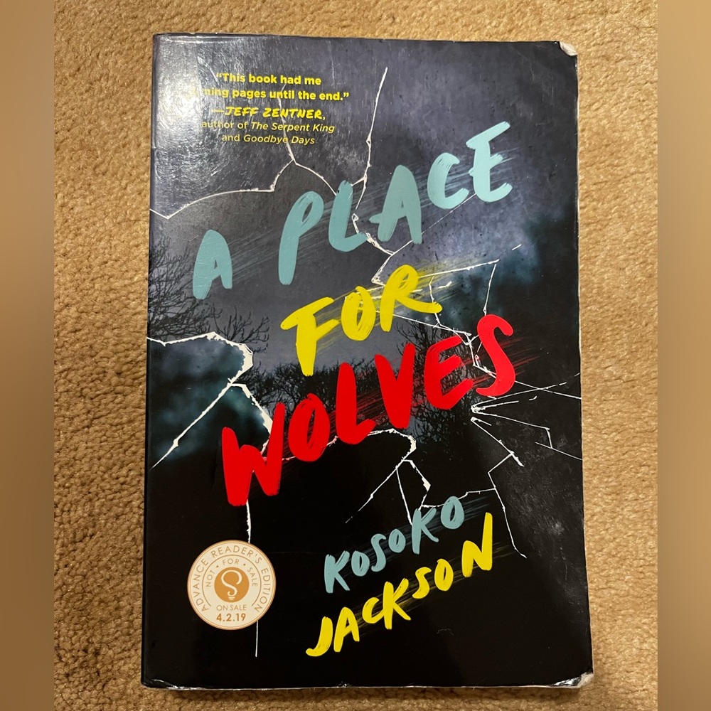 Young adult chapter books and one graphic novel